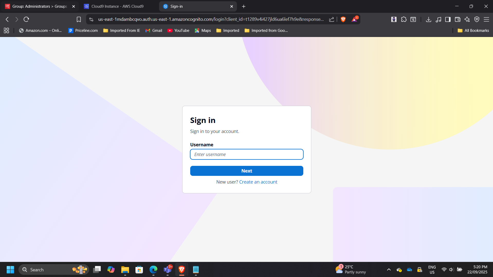 Login Screen