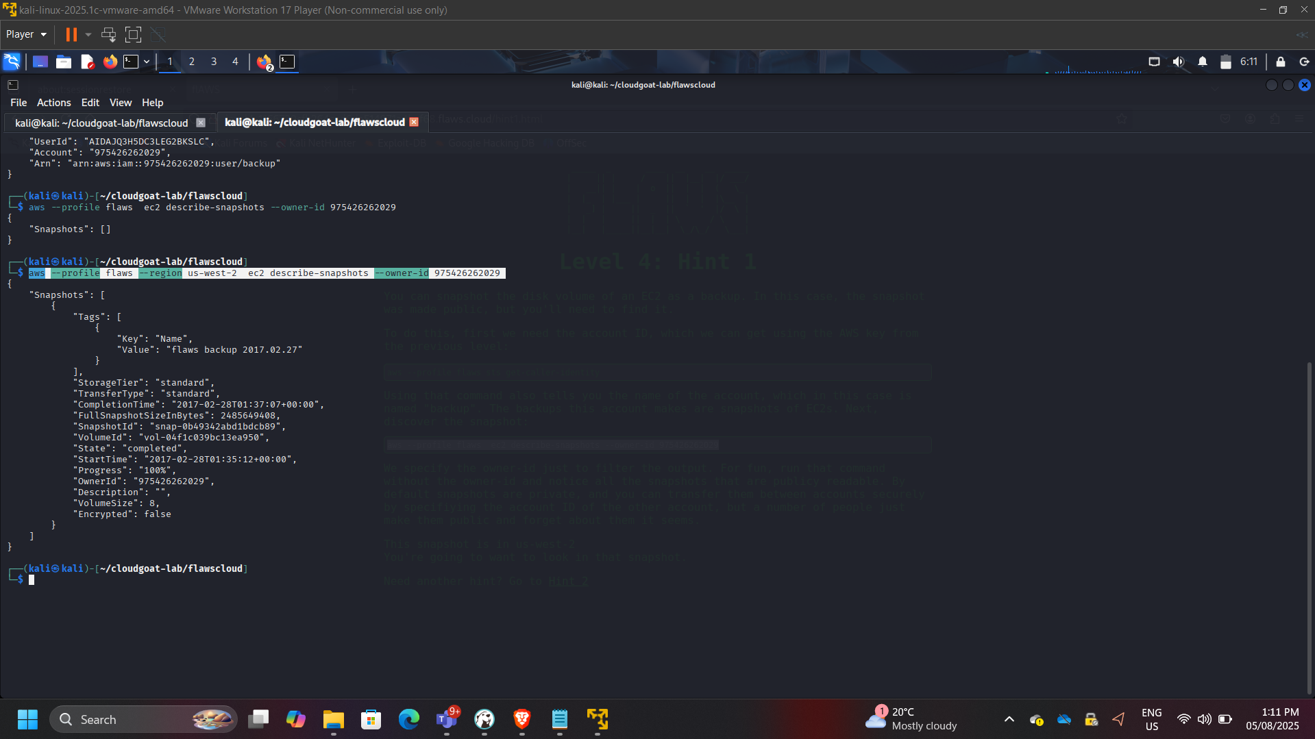 Public Snapshot Enumeration