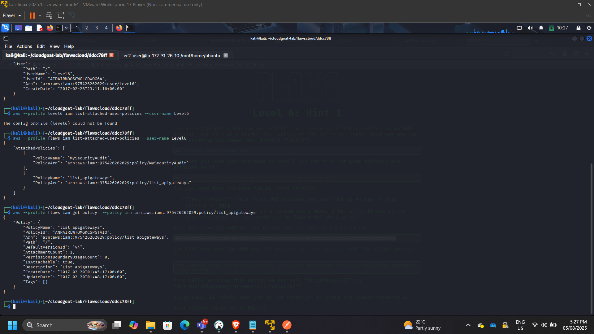 IAM Policy Inspection