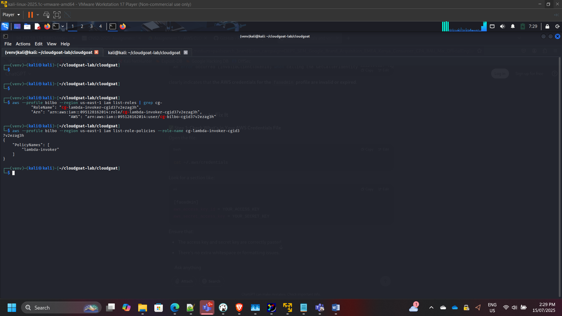 Role Policy Inspection