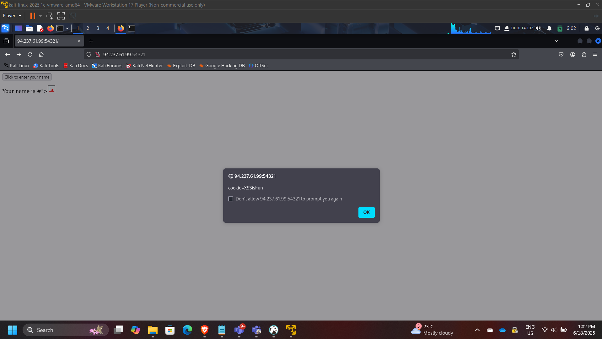 XSS Payload Execution & Cookie Retrieval